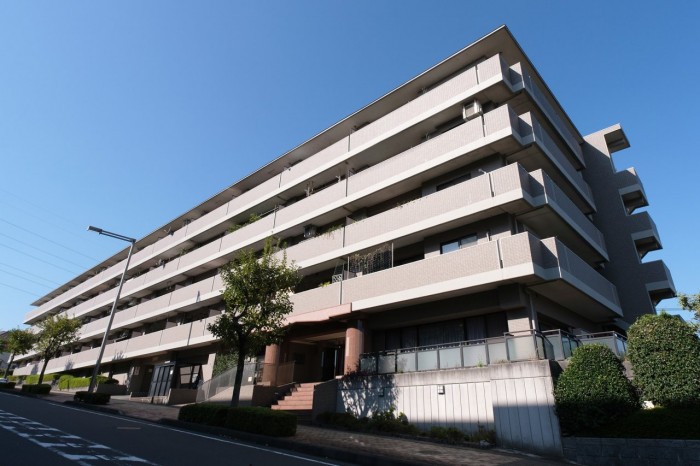 ライオンズマンションこどもの国